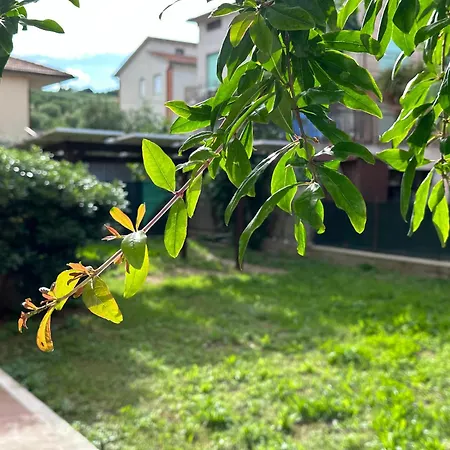 Il Sogno Di Potentia Διαμέρισμα